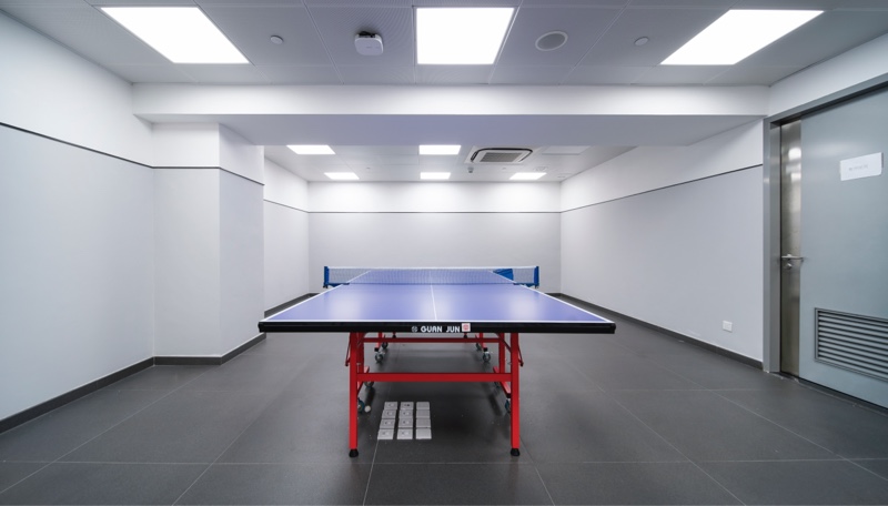 Table tennis court