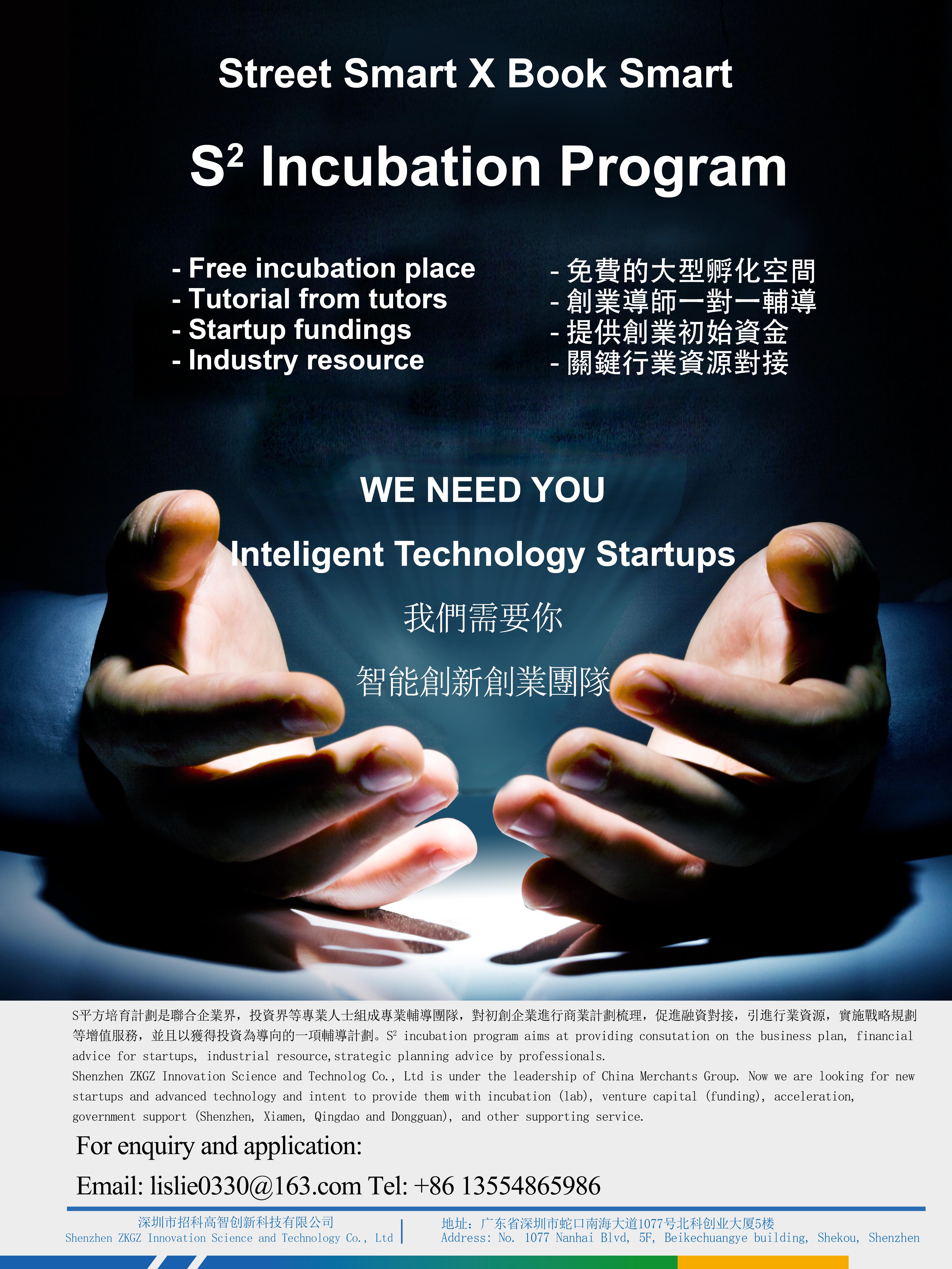 S2 Incubation program poster