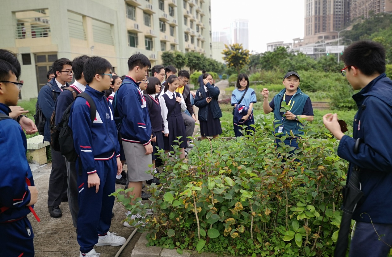 FC news 20190329 3