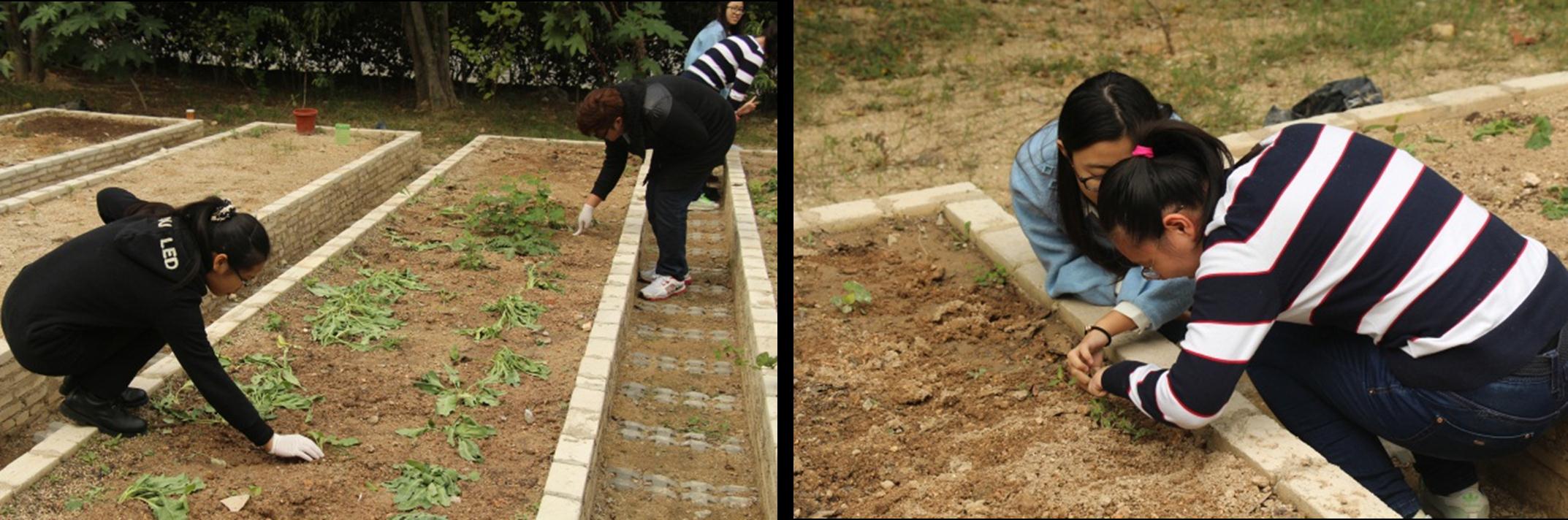 FC-students-EA-20141216-1