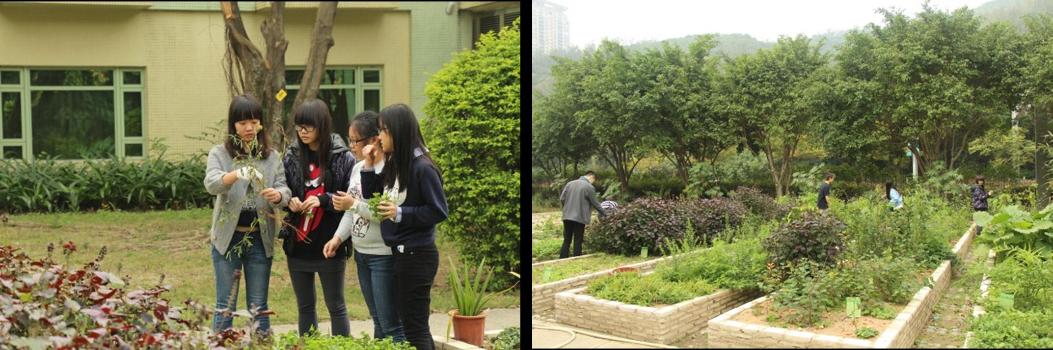 FC-students-EA-20141216-3