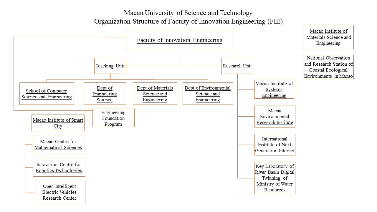 FIE Organization Structure EN