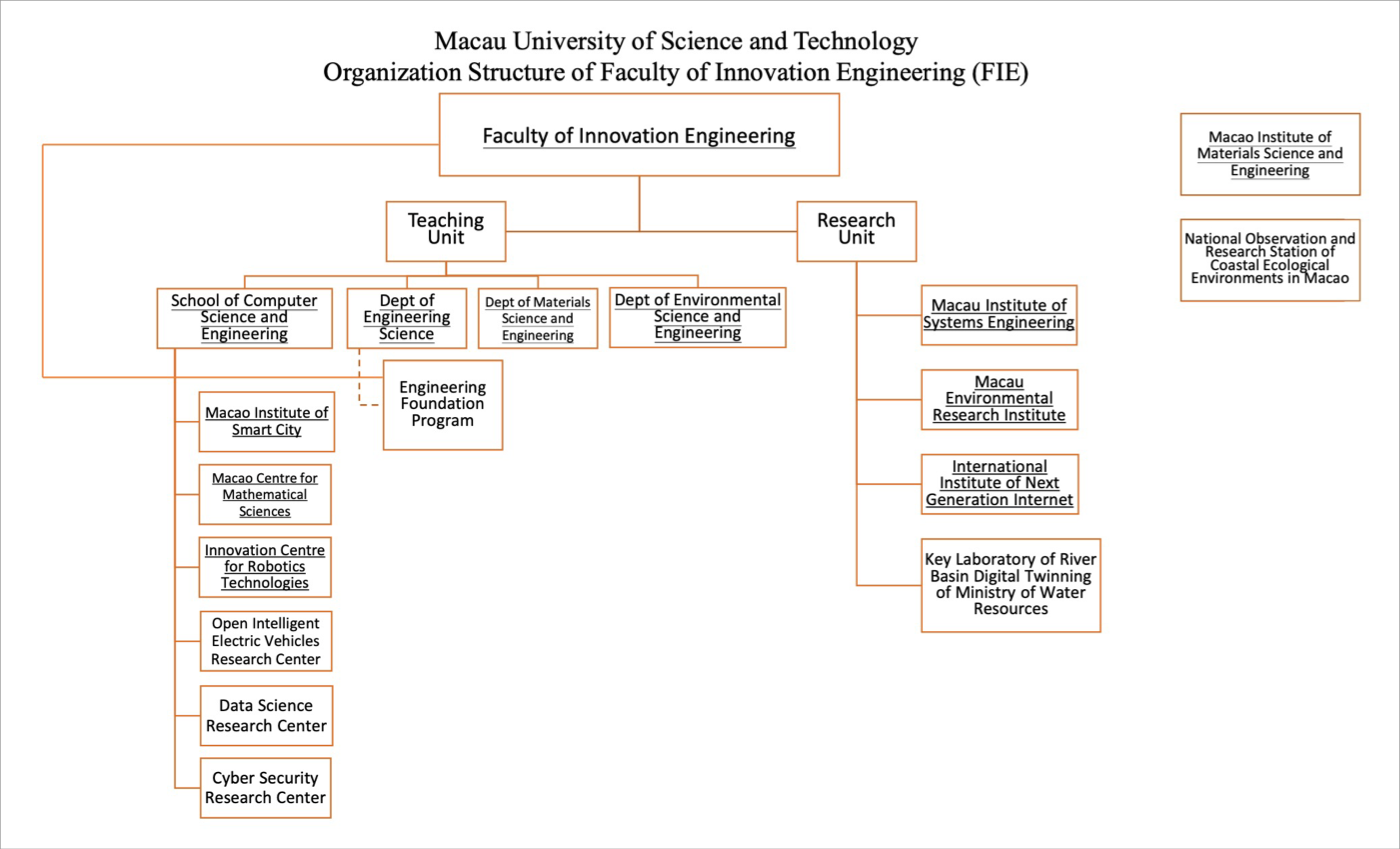 FIE Organization Structure EN