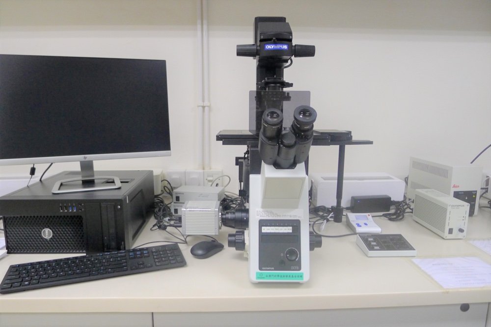 Inverted Fluorescence Microscope