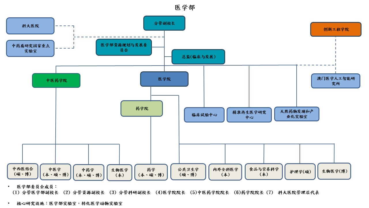 MSD Structure