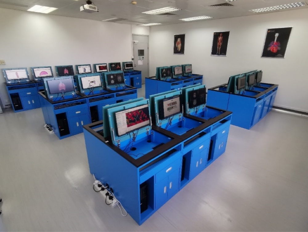 Computational Simulation Laboratory for Physiology and Pathology