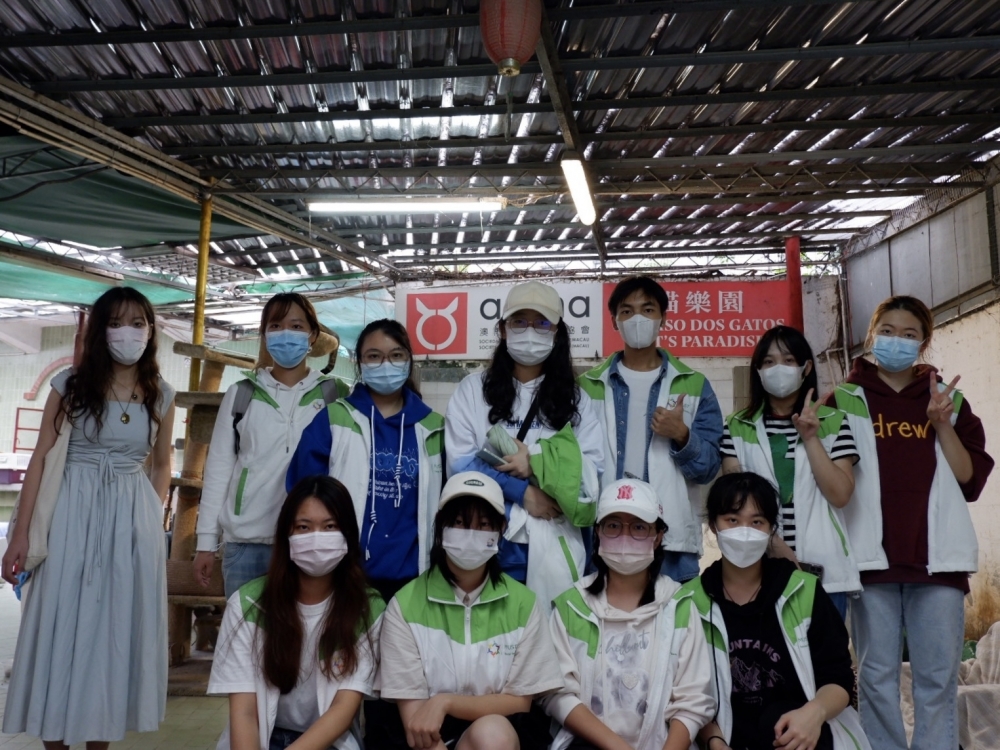 澳科大社會服務隊組織「關愛流浪貓 Paws in Macao」義工活動