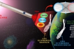 M.U.S.T. Achieves Important Results in Developing New Treatment for Rheumatoid Arthritis